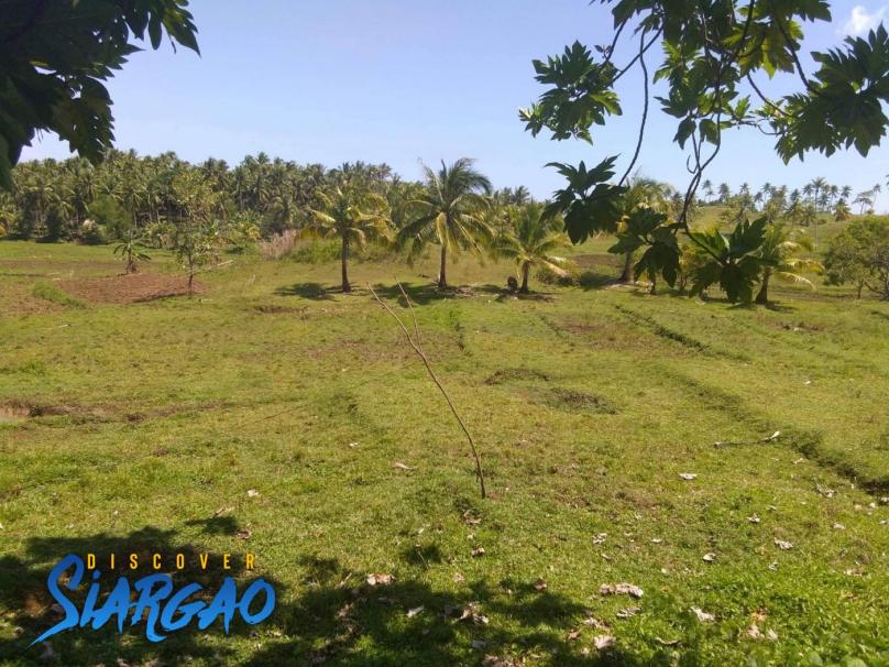 1.5 Hectare Lot For Sale in Magsaysay General Luna Siargao Island