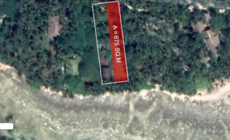 875 sqm Beach Front Lot For Sale near Cloud 9 and Tuazon Surfing Spot in General Luna Siargao