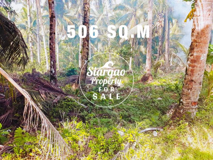 506 sqm Road side Lot For Sale near beach and surfing spot in Pacifico Siargao