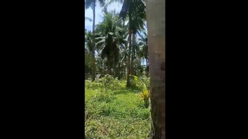 500 sqm Lot For Sale Along the Road in Sta. Fe General Luna Siargao