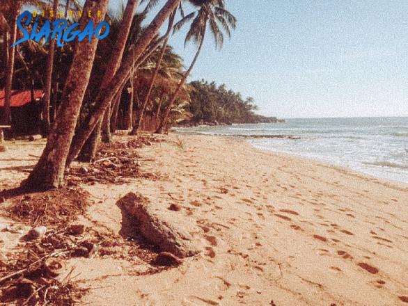 5,552 sqm Beach Front and Surfing Spot For Sale in Sta. Monica Siargao
