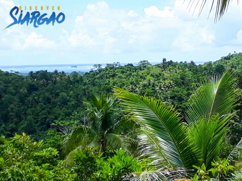 1 hectare Overlooking Ocean View in Union Siargao For Sale
