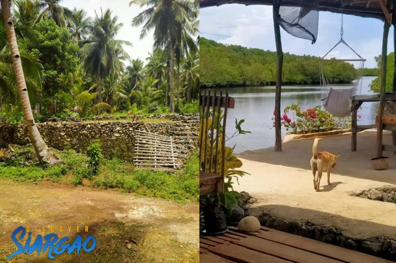 2,000 sqm Lot For Sale near the River in San Isidro Siargao