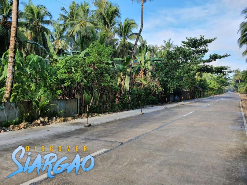 250 sqm Roadside Lot For Sale in Purok 1, General Luna Siargao Island