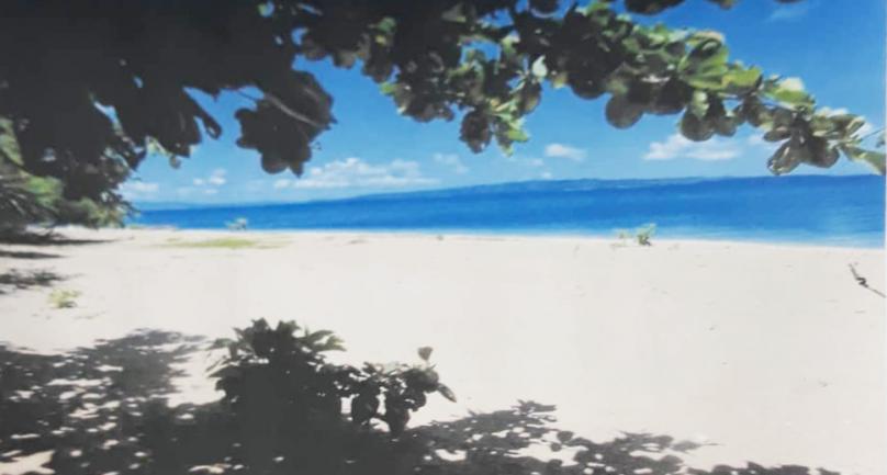 80,000 sqm Beach Front Property in Sitio Capdang, Agmanic, Sta. Fe, Romblon