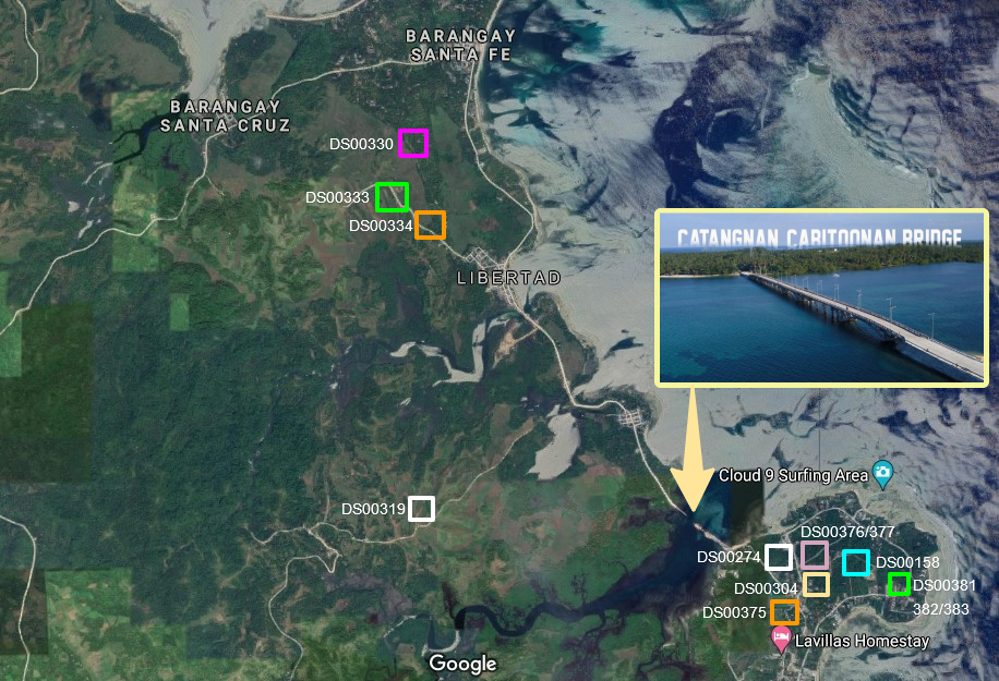 Small portion Lot For Sale in General Luna Siargao