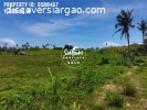 1,089 SQ.M Elevated Lot For Sale in Catangnan General Luna S