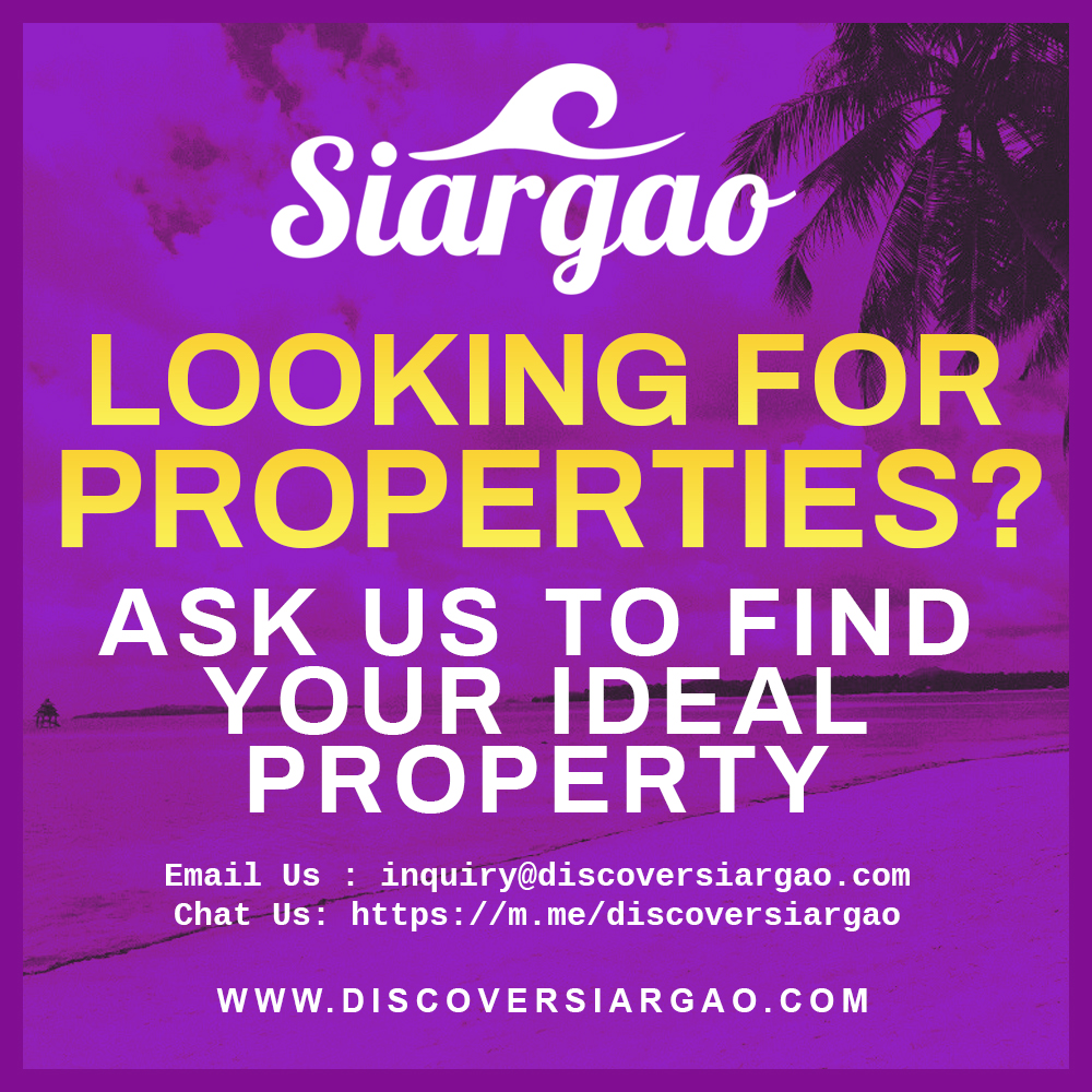 Siargao Property Agent and Brokers, Local