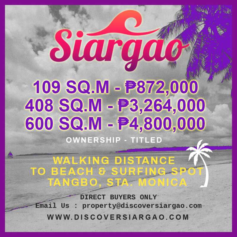 108-SQM-Lot-for-sale-near-beach-and-surfing-spot-in-tangbo-siargao-island.jpg